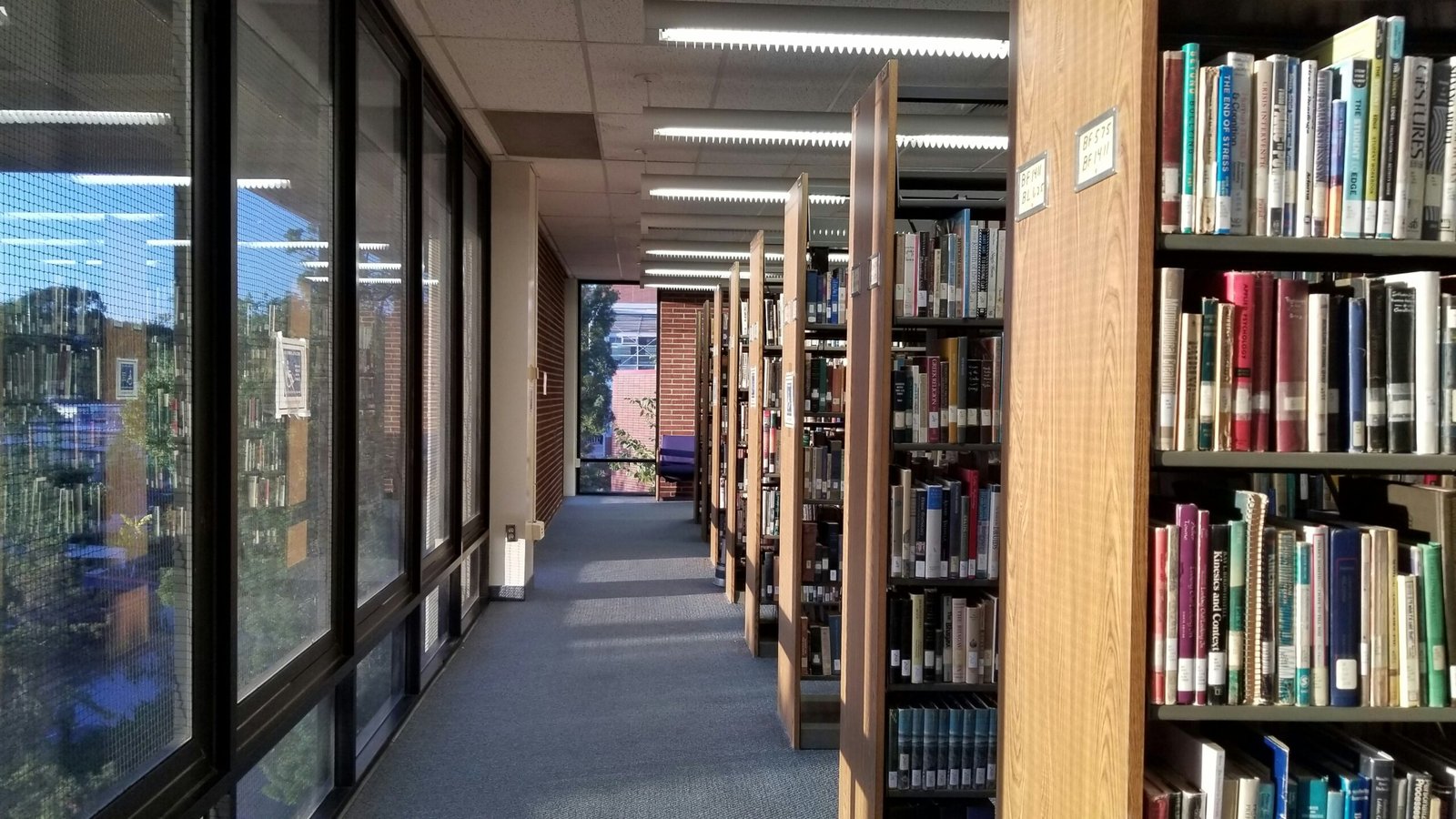 a row of bookshelves filled with lots of books